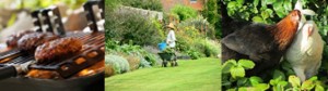 Hampton Garden